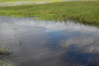 IMG_0050