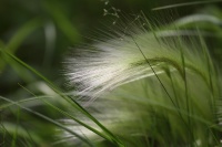 IMG_0045