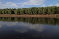 IMG_0066
