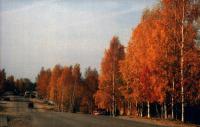 Осень