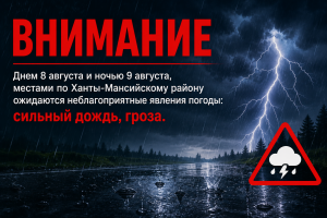 Днем 8 августа и ночью 9 августа, местами по Ханты-Мансийскому району ожидаются неблагоприятные явления погоды: сильный дождь, гроза.