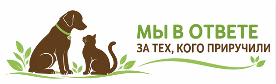 Животные.jpg Животные.jpg